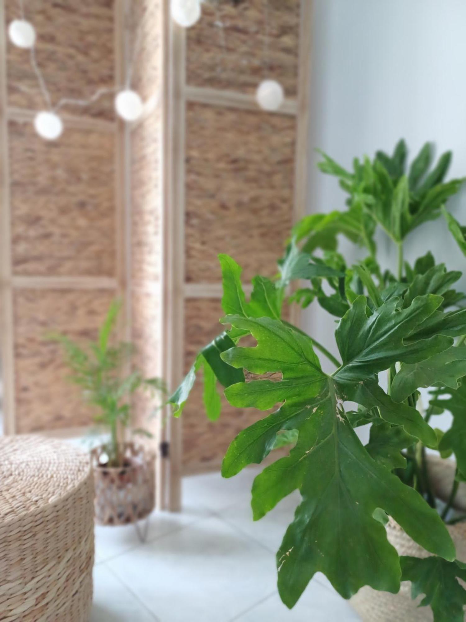 Chalkís Angela'S Apartment מראה חיצוני תמונה